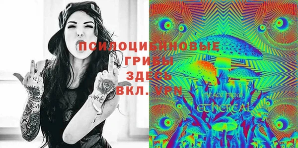 прущий лед Усинск