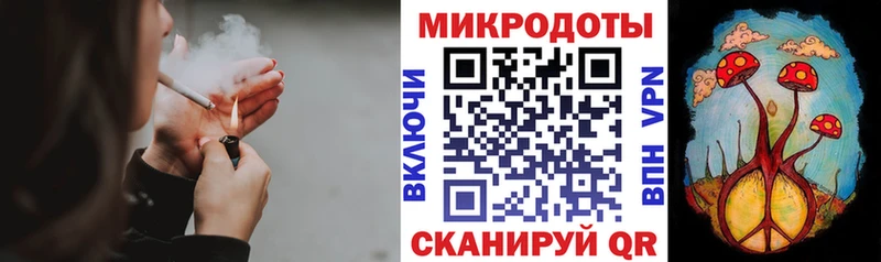 Купить закладки  Приморско-Ахтарск  Псилоцибиновые грибы GOLDEN TEACHER 